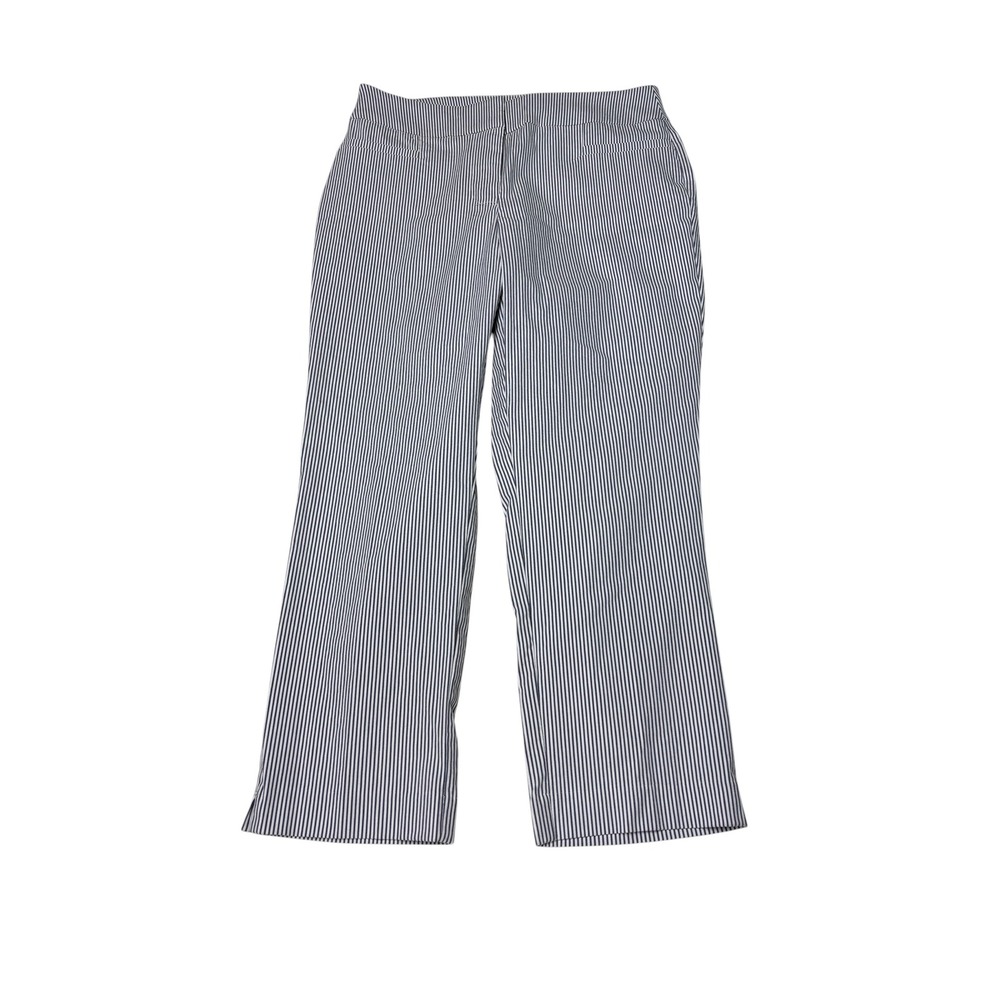 NWT Ann Taylor Factory The Crop Curvy Fit Stripe Pants Blue White 2P W30 L23